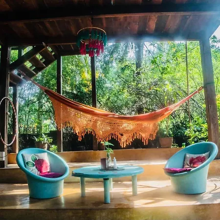 The Wild Flower! Anjuna Exterior photo