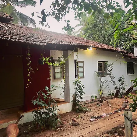 The Wild Flower! Anjuna Exterior photo