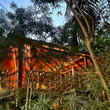 The Wild Flower! Anjuna Exterior photo