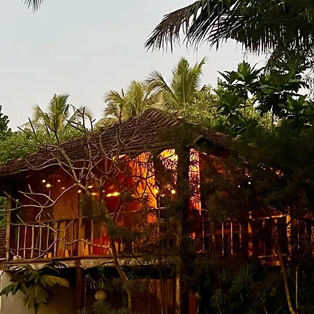 The Wild Flower! Anjuna Exterior photo