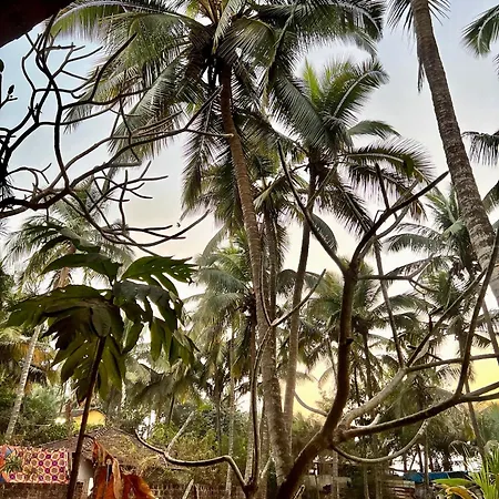 The Wild Flower! Anjuna Exterior photo