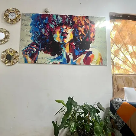 The Wild Flower! Anjuna Exterior photo
